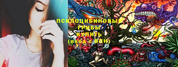 ешки Аркадак