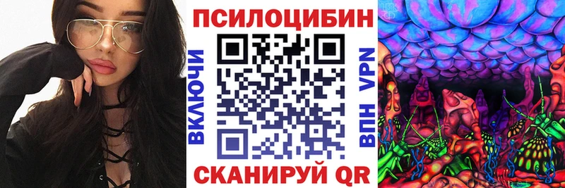 Псилоцибиновые грибы Psilocybe Мамадыш